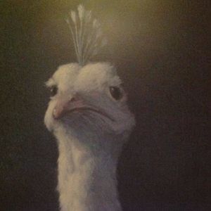 Meet your Posher, Sandy